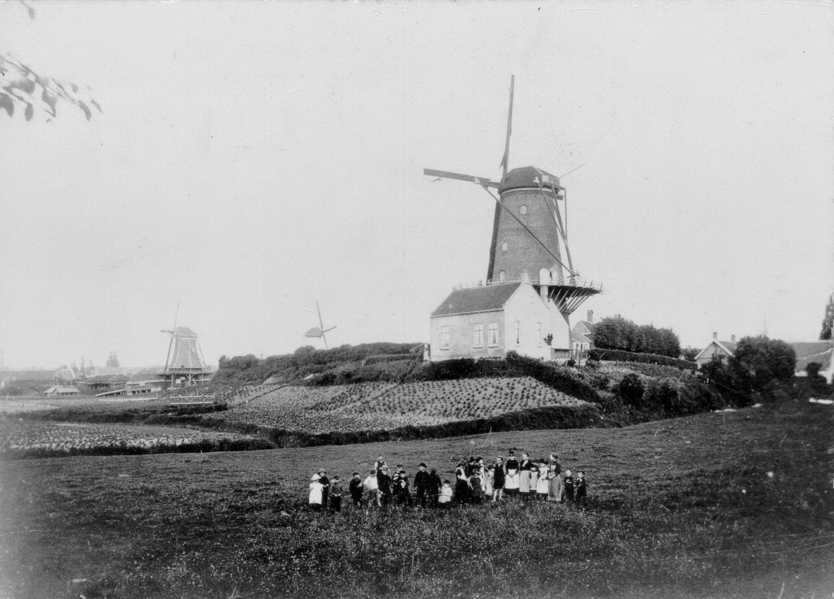houtzaagmolen 'De Eendracht', molen 'De Vijf Gebroeders' en molen 'De Korenbloem'. Op de voorgrond poseren kinderen