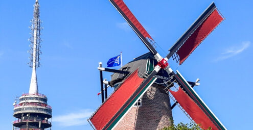 Koornbloem met Open Monumentendag-vlag en de televisietoren