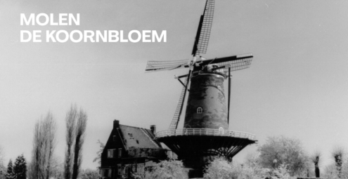 Thumbnail de Koornbloem-video